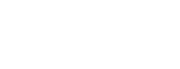 logo preview