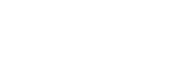 logo preview
