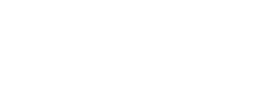 logo preview