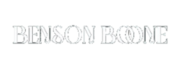 logo preview