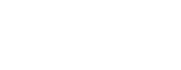 logo preview