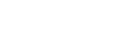 logo preview