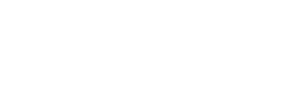 logo preview