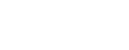 logo preview