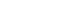 logo preview
