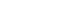 logo preview
