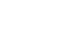 logo preview