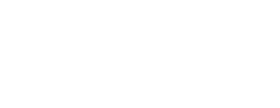 logo preview