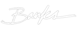 logo preview