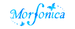 logo preview