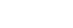 logo preview
