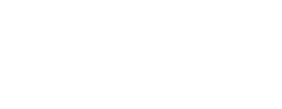 logo preview
