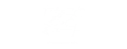 logo preview