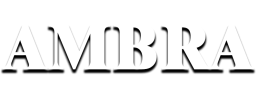 logo preview