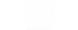 logo preview