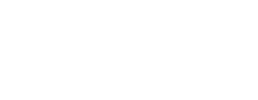logo preview
