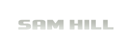 logo preview