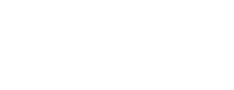 logo preview