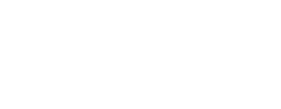logo preview