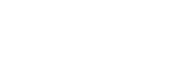 logo preview