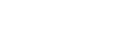 logo preview
