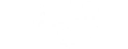 logo preview