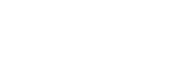logo preview