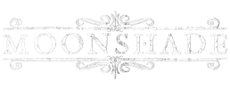 logo preview