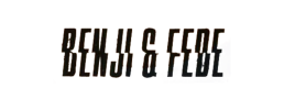 logo preview
