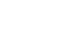 logo preview