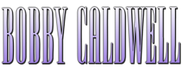 logo preview