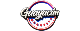 logo preview