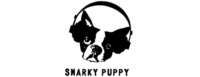 Snarky Puppy We Like It Here Theaudiodbcom