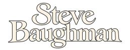 logo preview