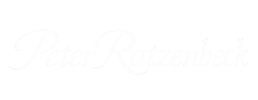 logo preview