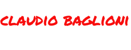 logo preview