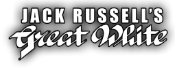 logo preview