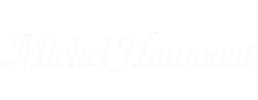 logo preview