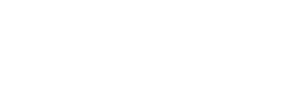 logo preview
