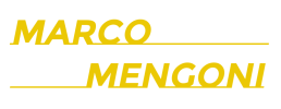 logo preview