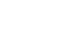logo preview