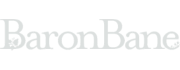 logo preview