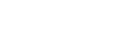 logo preview