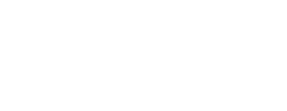 logo preview