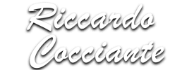 logo preview