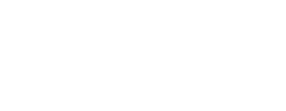 logo preview