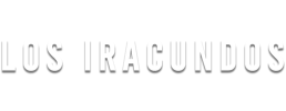 logo preview