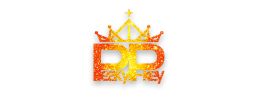 logo preview