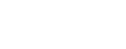 logo preview
