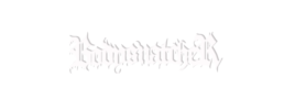 logo preview